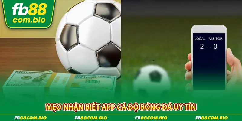 App cá độ bóng đá uy tín và các tiêu chí nhận biết