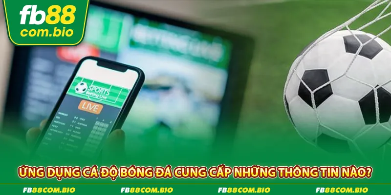 App cá độ bóng đá và những thông tin cung cấp