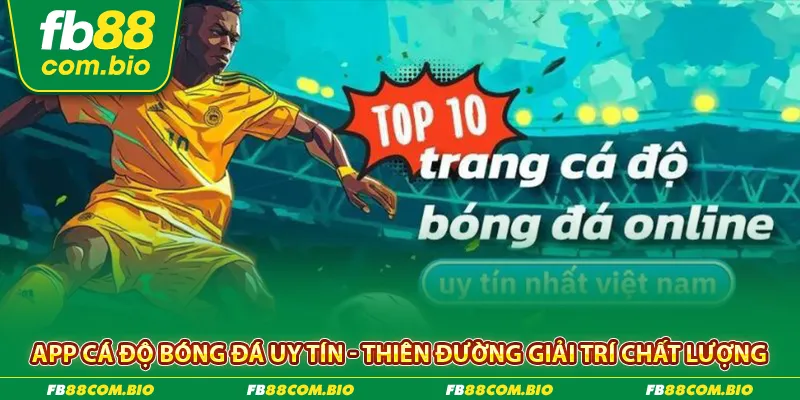 App cá độ bóng đá