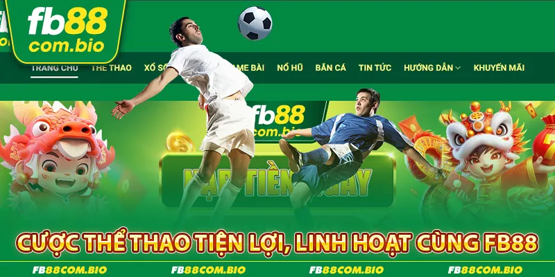 Cược thể thao tiện lợi, linh hoạt cùng FB88